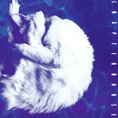 Chapterhouse Whirlpool (LP)