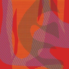 Jonas Cambien's Maca Conu Popular Misconceptions (LP)