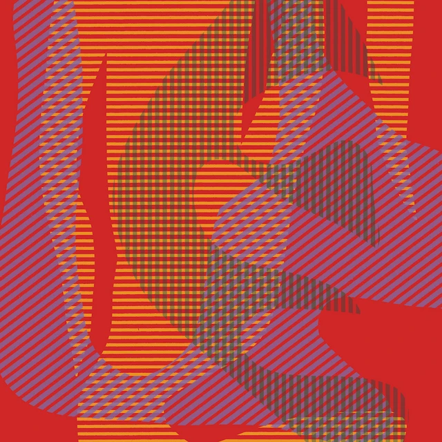 Jonas Cambien's Maca Conu Popular Misconceptions (LP) 