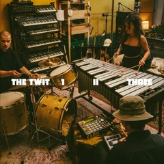 The Twit 1, II, Three The Twit 1, II, Three (LP)