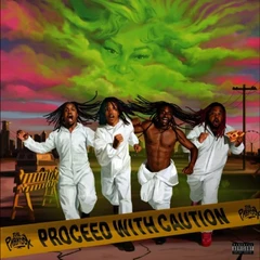 The Paradox Proceed With Caution (CD)