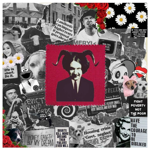 Meryl Streek Stories They Don't Teach You… - LTD (LP) 