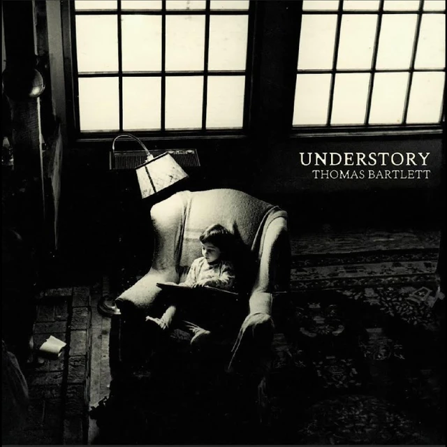 Thomas Bartlett Understory (LP) 