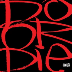 Do Or Die Picture This (CD)