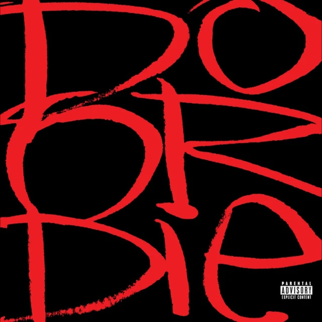 Do Or Die Picture This (CD) 