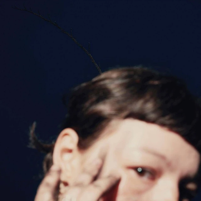 Regina Collage Horizont (LP) 