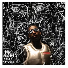 Tinie Tempah The Night's Not Dead (2LP)