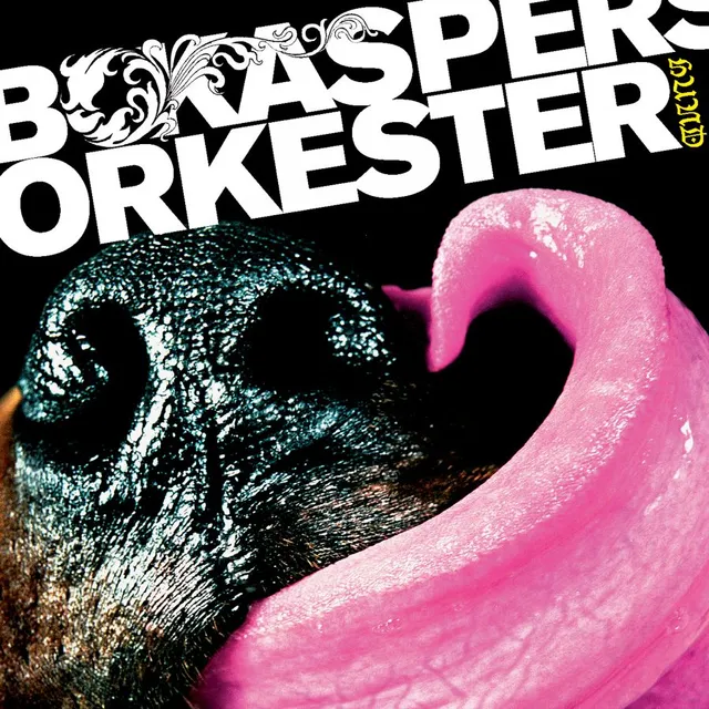 Bo Kaspers Orkester Hund (CD) 