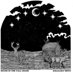 Kikagaku Moyo House In The Tall Grass (LP)