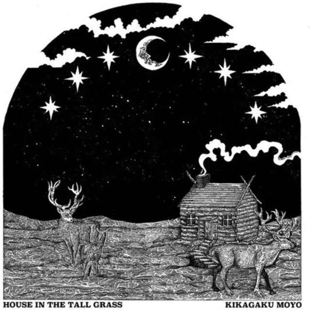 Kikagaku Moyo House In The Tall Grass (LP) 