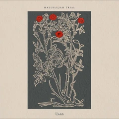 Hallelujah Trial Hallelujah Trial (LP)