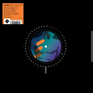 Diverse Artister Pavilion 12s Volume 2 - LTD (LP)