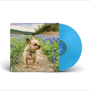Shit And Shine 0 Aa Riot - LTD (LP)