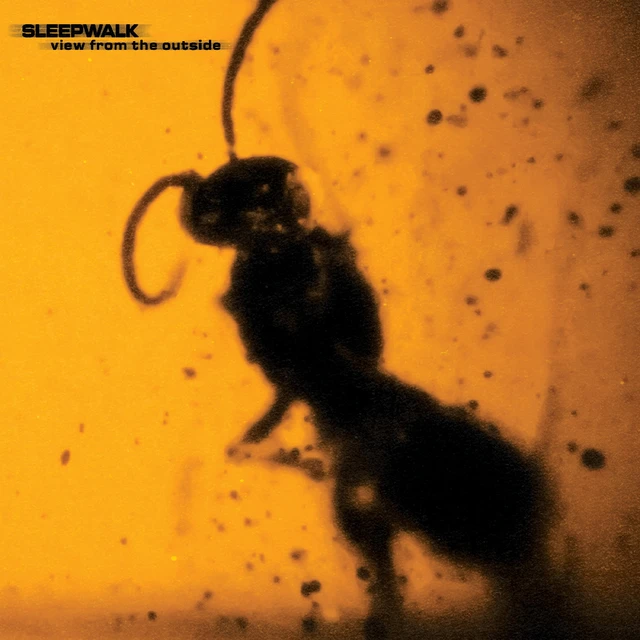 Sleepwalk View From The Outside (CD) 