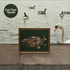 Part Time Signals Ducks Back, Baby (LP)