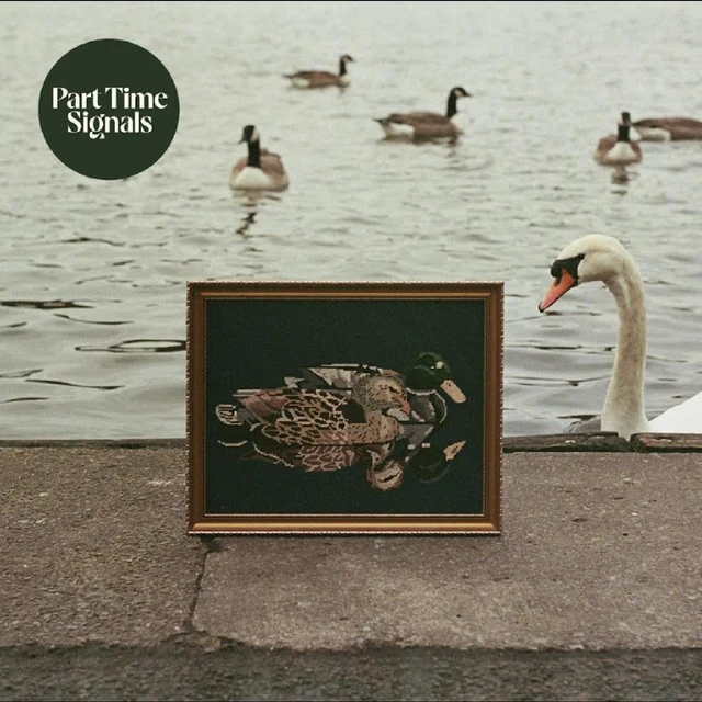 Part Time Signals Ducks Back, Baby (LP) 