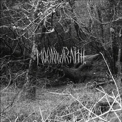 Moonwraith To The Woods (LP)
