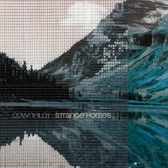 Downpilot Strange Horses (LP)