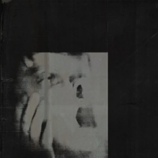 Ditz Never Exhale - LTD (LP)