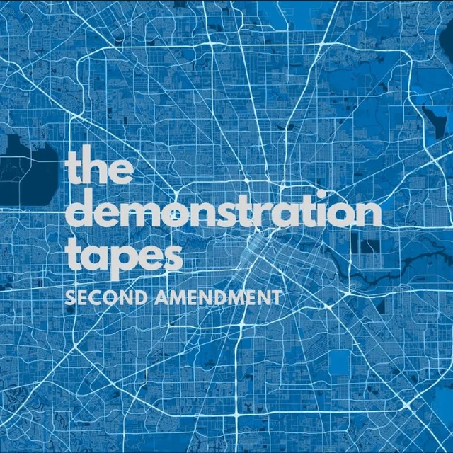 The Demonstration Tapes Second Amendment (LP) 