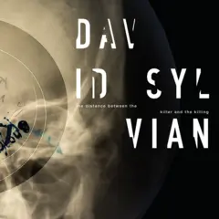 David Sylvian The Distance Between The… - LTD (LP)
