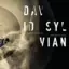 David Sylvian The Distance Between The Killer And…(LP)