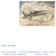 Eliane Radigue Occam XIII, Occam River XI, Occam… (2LP)