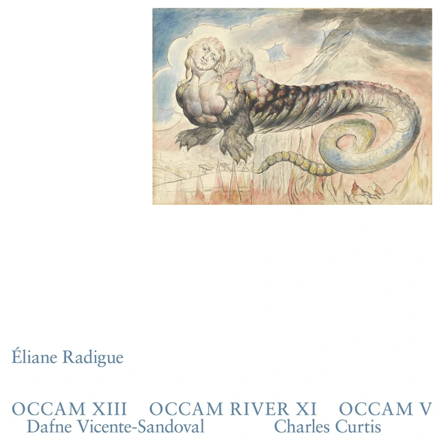 Eliane Radigue Occam XIII, Occam River XI, Occam… (2LP) 