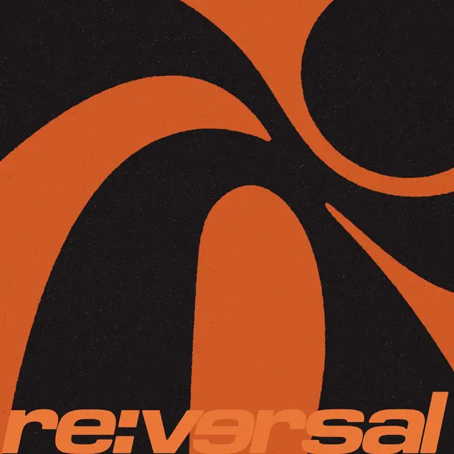 Diverse Artister Reversal 005 (12") 