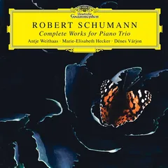 Marie-Elisabeth Hecker, Dénes Várjon… Schumann: Complete Works For Piano (2CD)