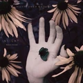 Mayflower Madame Insight - Deluxe Edition (LP)