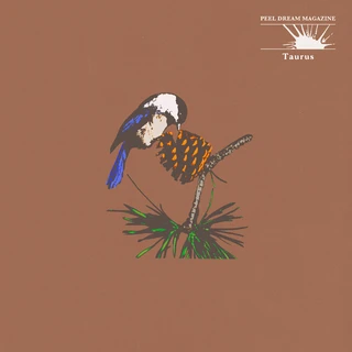 Peel Dream Magazine Taurus - LTD (LP)