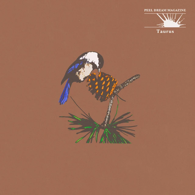 Peel Dream Magazine Taurus - LTD (LP) 