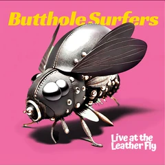 Butthole Surfers Live At The Leather Fly - LTD (LP)