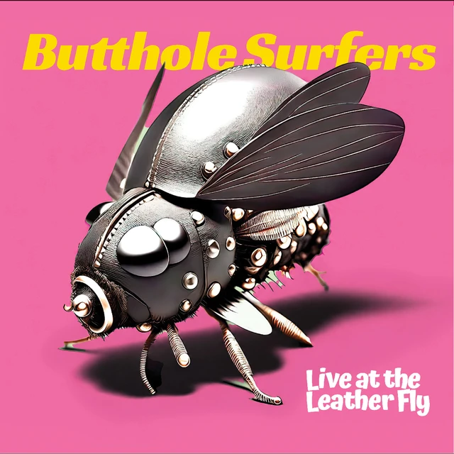 Butthole Surfers Live At The Leather Fly - LTD (LP) 