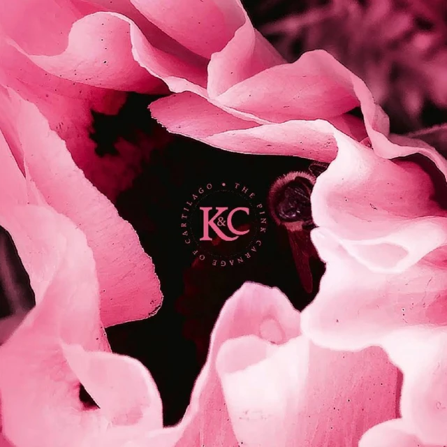 Kolman & Calvert The Pink Carnage Of Cartilago (CD) 