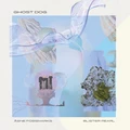 Åsne Fossmark Blister Pearl Ghost Dog (LP)