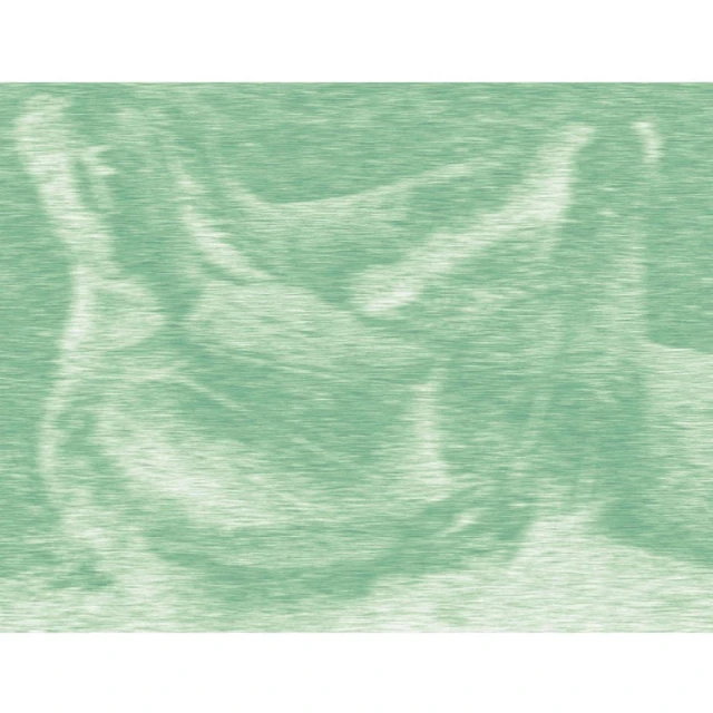 Elischa Heller Breathing Soil (LP) 