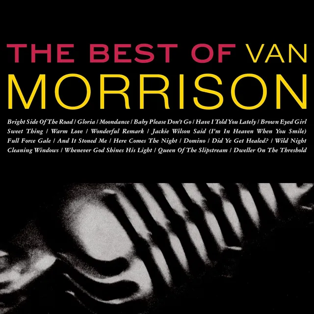 Van Morrison The Best Of Van Morrison (2LP) 