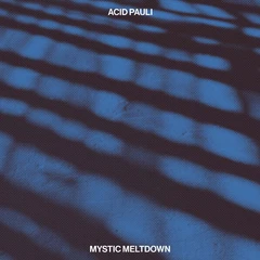Acid Pauli Mystic Meltdown (2LP)