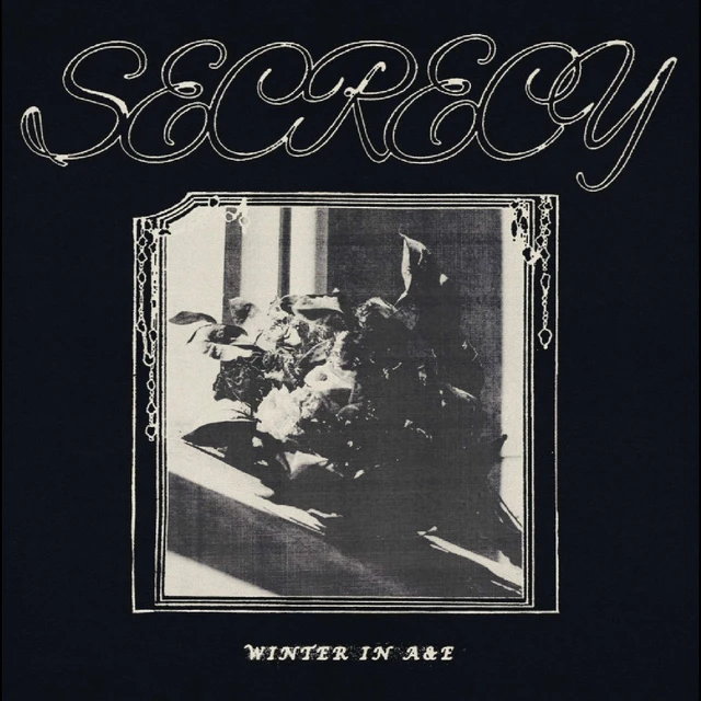 Secrecy Winter In A&E (LP) 