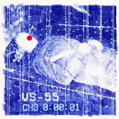 VS--55 Ch0 0:00:01 - LTD (LP)