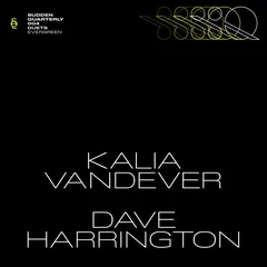 Kalia Vandever &amp; Dave Harrington Evergreen (LP)
