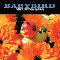 Babybird There's Something Going On - LTD (LP)