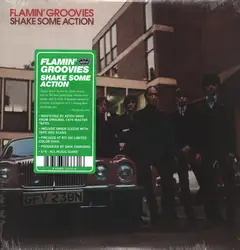 Flamin' Groovies Shake Some Action (LP)