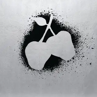 Silver Apples Silver Apples (LP)