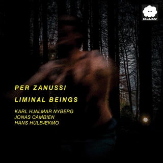 Per Zanussi Liminal Beings (LP)