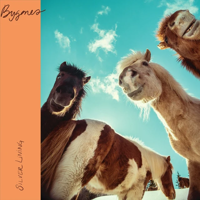 Silver Lining Bygones - LTD (LP) 