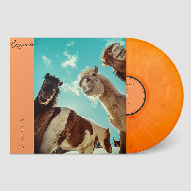 Silver Lining Bygones - LTD (LP) 