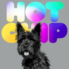 Hot Chip A Long Way From Kansas (2LP)